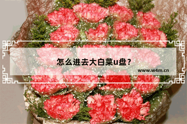 怎么进去大白菜u盘？