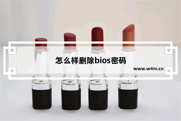 怎么样删除bios密码