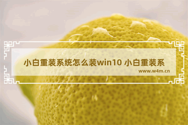 小白重装系统怎么装win10 小白重装系统步骤win10