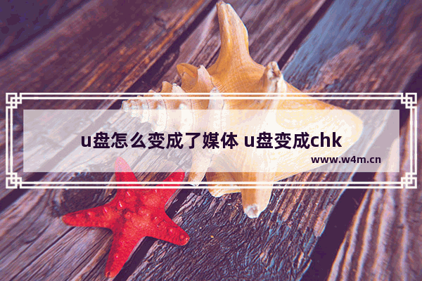 u盘怎么变成了媒体 u盘变成chk