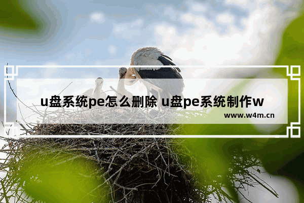 u盘系统pe怎么删除 u盘pe系统制作win7