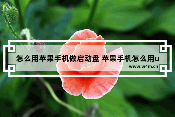 怎么用苹果手机做启动盘 苹果手机怎么用u盘