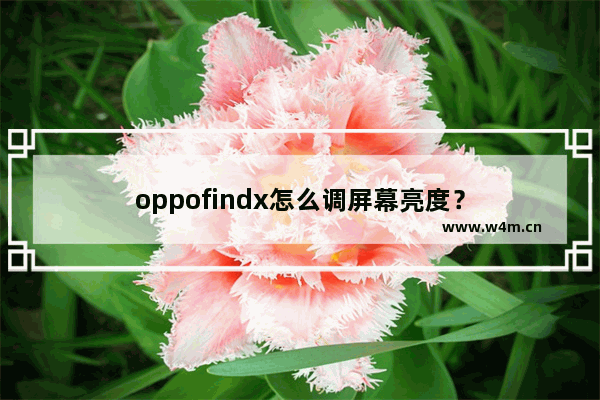 oppofindx怎么调屏幕亮度？