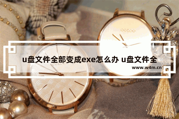 u盘文件全部变成exe怎么办 u盘文件全变成exe了怎么办?