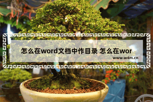 怎么在word文档中作目录 怎么在word文档里做思维导图