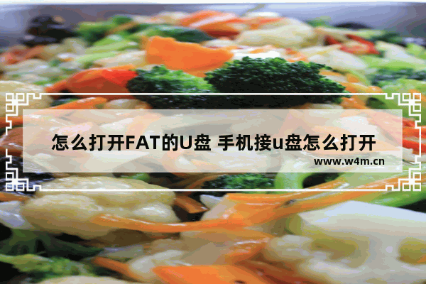 怎么打开FAT的U盘 手机接u盘怎么打开