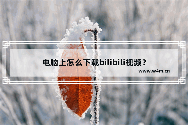 电脑上怎么下载bilibili视频？