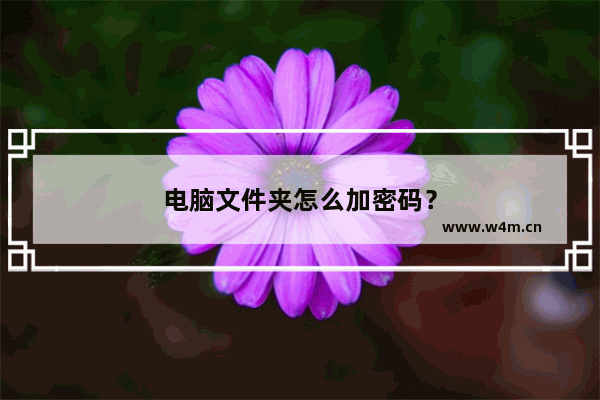 电脑文件夹怎么加密码？