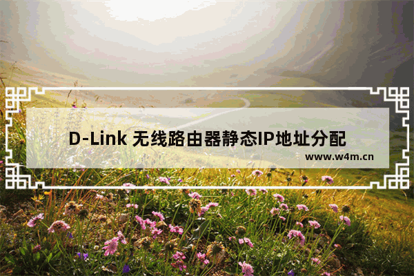 D-Link 无线路由器静态IP地址分配的方法（图文教程）