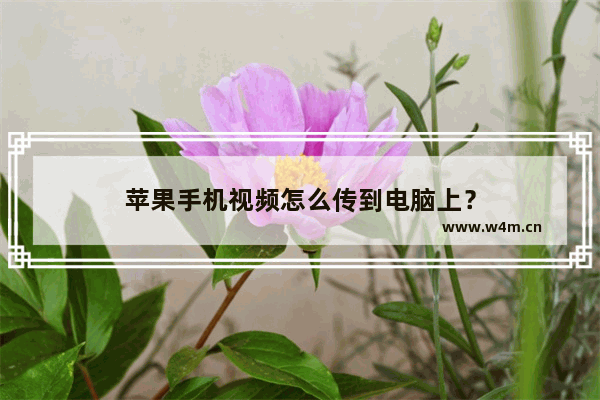 苹果手机视频怎么传到电脑上？