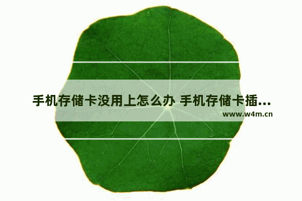 手机存储卡没用上怎么办 手机存储卡插在手机上用不起怎么办?