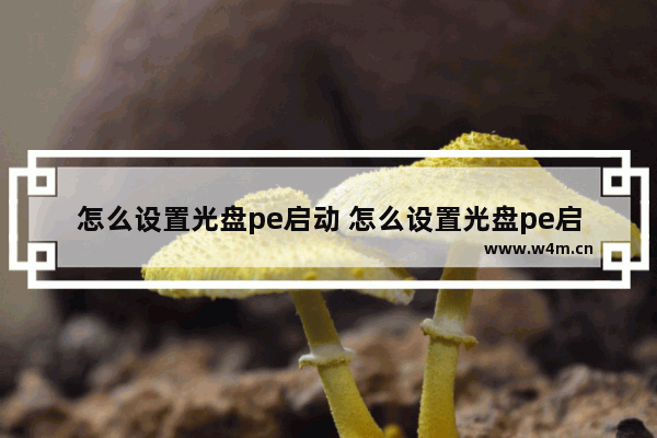 怎么设置光盘pe启动 怎么设置光盘pe启动系统