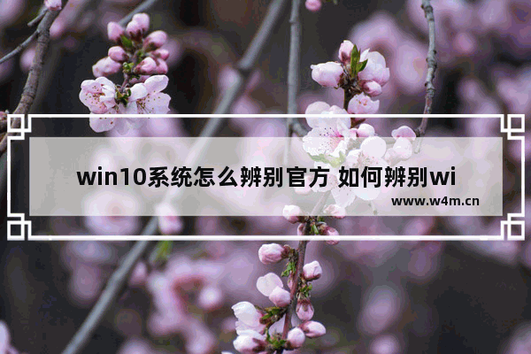 win10系统怎么辨别官方 如何辨别win10正版