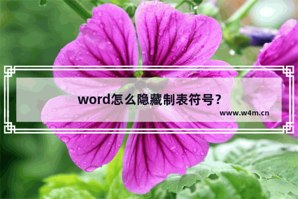 word怎么隐藏制表符号？