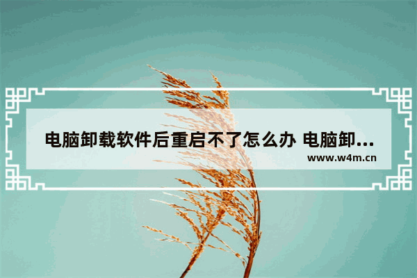 电脑卸载软件后重启不了怎么办 电脑卸载的软件重启后又恢复了怎么回事