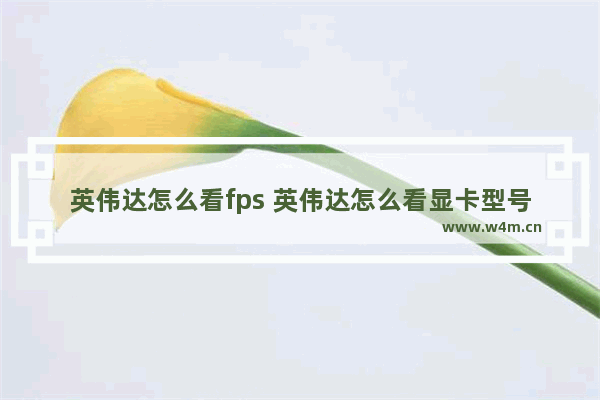 英伟达怎么看fps 英伟达怎么看显卡型号