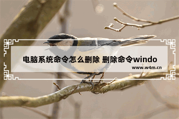 电脑系统命令怎么删除 删除命令windows