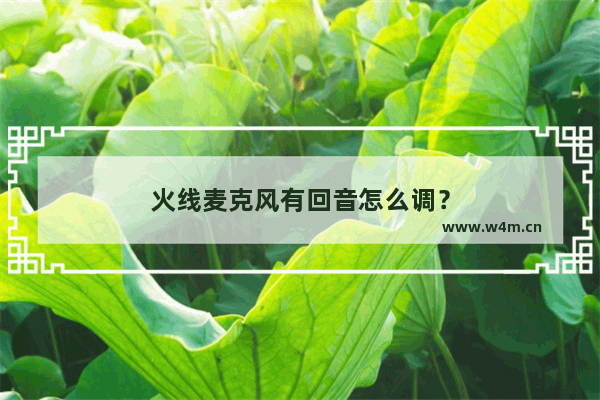 火线麦克风有回音怎么调？