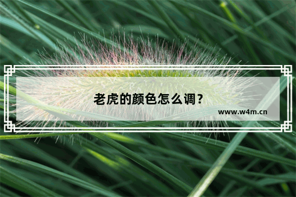 老虎的颜色怎么调？