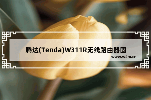 腾达(Tenda)W311R无线路由器固定IP设置上网