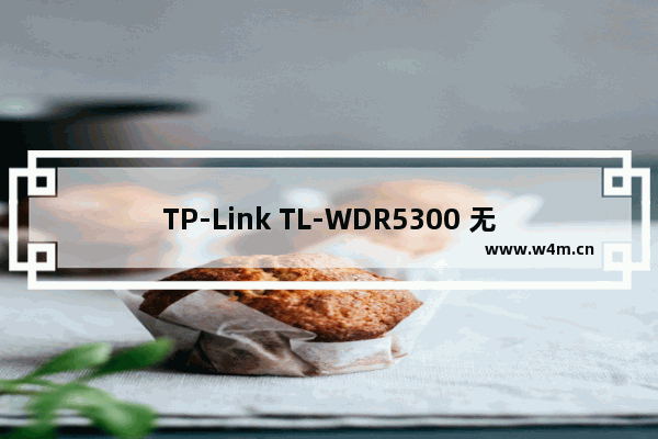 TP-Link TL-WDR5300 无线路由器管控网络权限设置教程