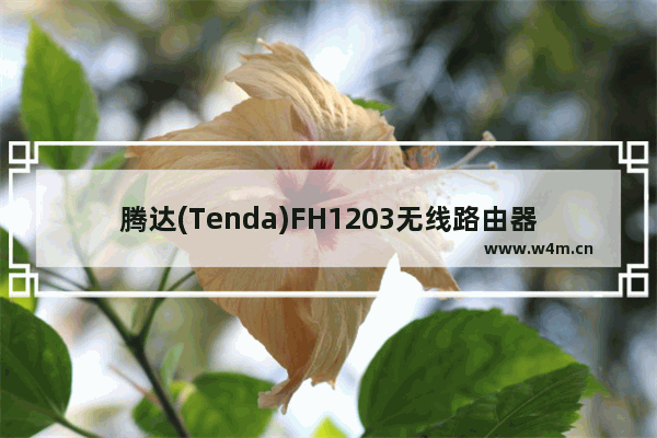 腾达(Tenda)FH1203无线路由器设置上网