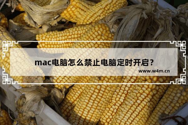 mac电脑怎么禁止电脑定时开启？