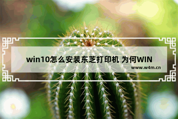 win10怎么安装东芝打印机 为何WIN10安装打印机不能用