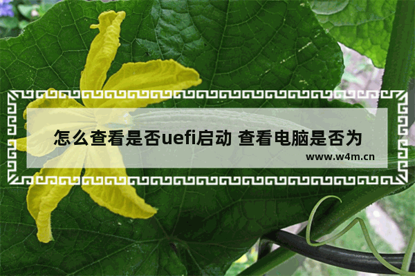 怎么查看是否uefi启动 查看电脑是否为UEFI启动