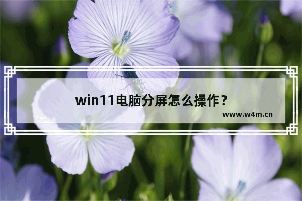 win11电脑分屏怎么操作？