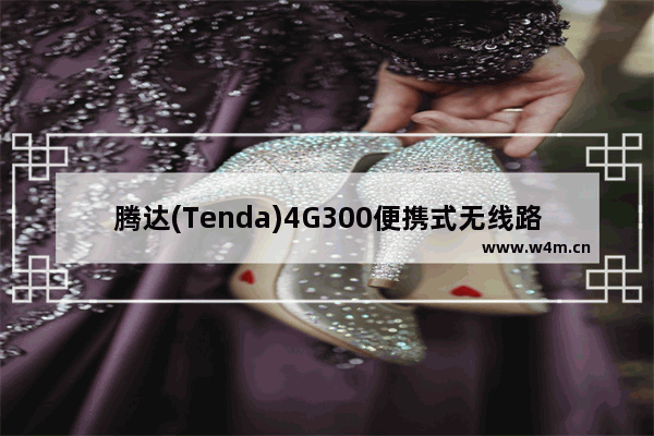 腾达(Tenda)4G300便携式无线路由器信号放大设置上网方法