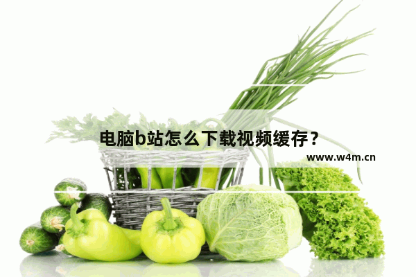 电脑b站怎么下载视频缓存？