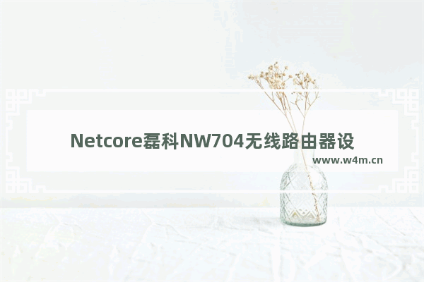 Netcore磊科NW704无线路由器设置上网