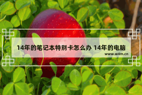 14年的笔记本特别卡怎么办 14年的电脑越来越卡怎么办