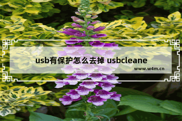 usb有保护怎么去掉 usbcleaner怎么去除写保护