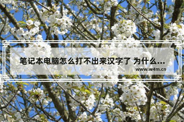 笔记本电脑怎么打不出来汉字了 为什么笔记本打不出汉字