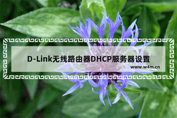 D-Link无线路由器DHCP服务器设置教程