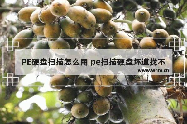 PE硬盘扫描怎么用 pe扫描硬盘坏道找不到硬盘