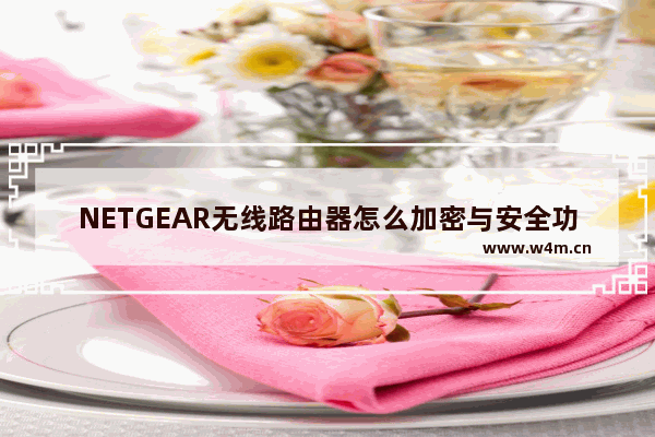 NETGEAR无线路由器怎么加密与安全功能设置