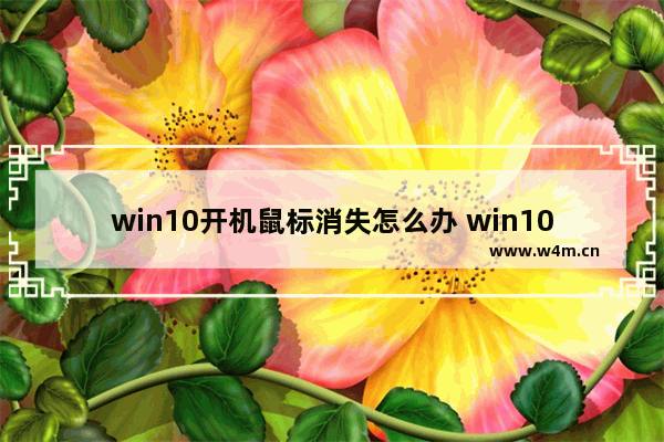 win10开机鼠标消失怎么办 win10开机鼠标键盘没反应