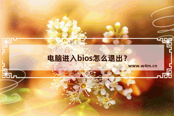 电脑进入bios怎么退出？