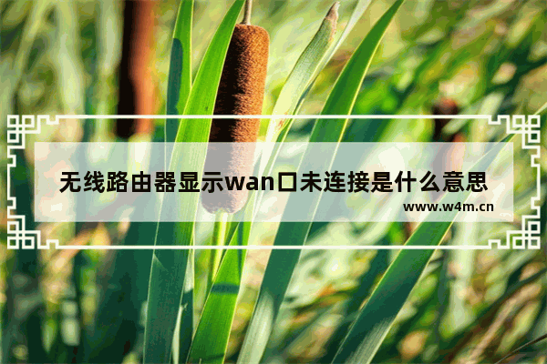 无线路由器显示wan口未连接是什么意思