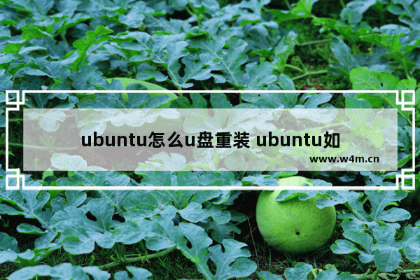 ubuntu怎么u盘重装 ubuntu如何重装