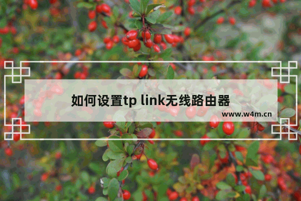 如何设置tp link无线路由器