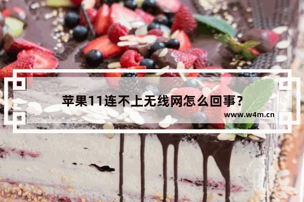 苹果11连不上无线网怎么回事？