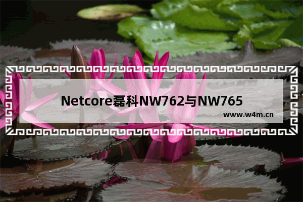 Netcore磊科NW762与NW765无线路由器设置上网