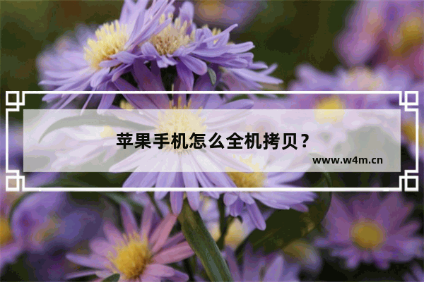 苹果手机怎么全机拷贝？