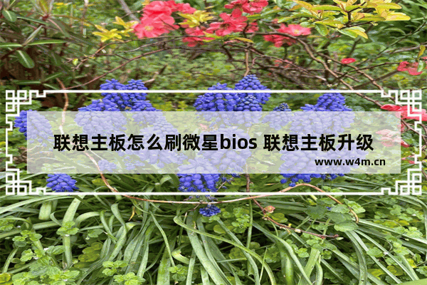 联想主板怎么刷微星bios 联想主板升级bios怎么升级