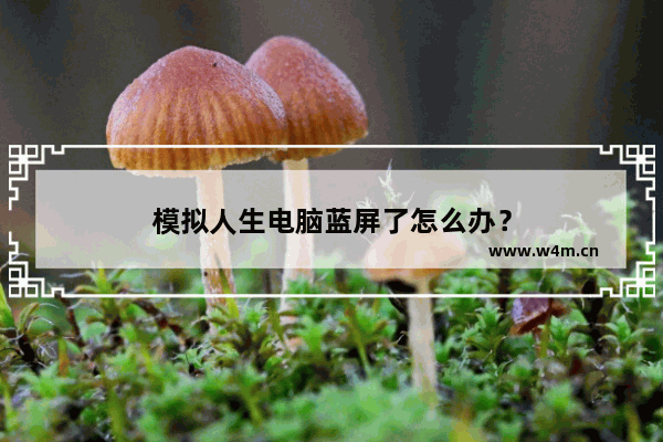 模拟人生电脑蓝屏了怎么办？