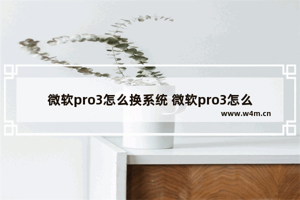 微软pro3怎么换系统 微软pro3怎么换系统硬盘